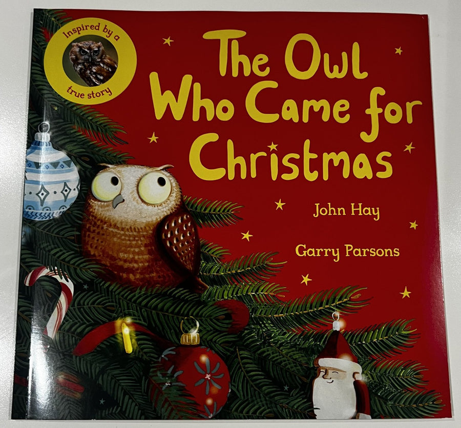 The Owl Who Came for Christmas