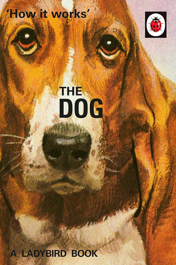 How It Works: The Dog cover