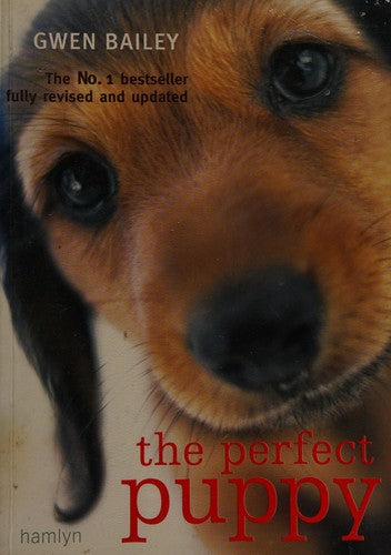 The perfect puppy